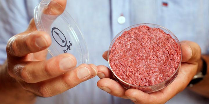 A man holds the world's first lab-grown beef burger in 2013: meat in a petri dish