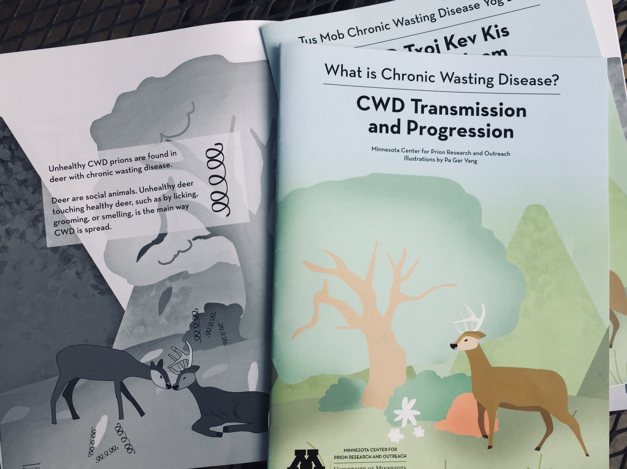 Copies of the chronic wasting disease booklets laid out on a table