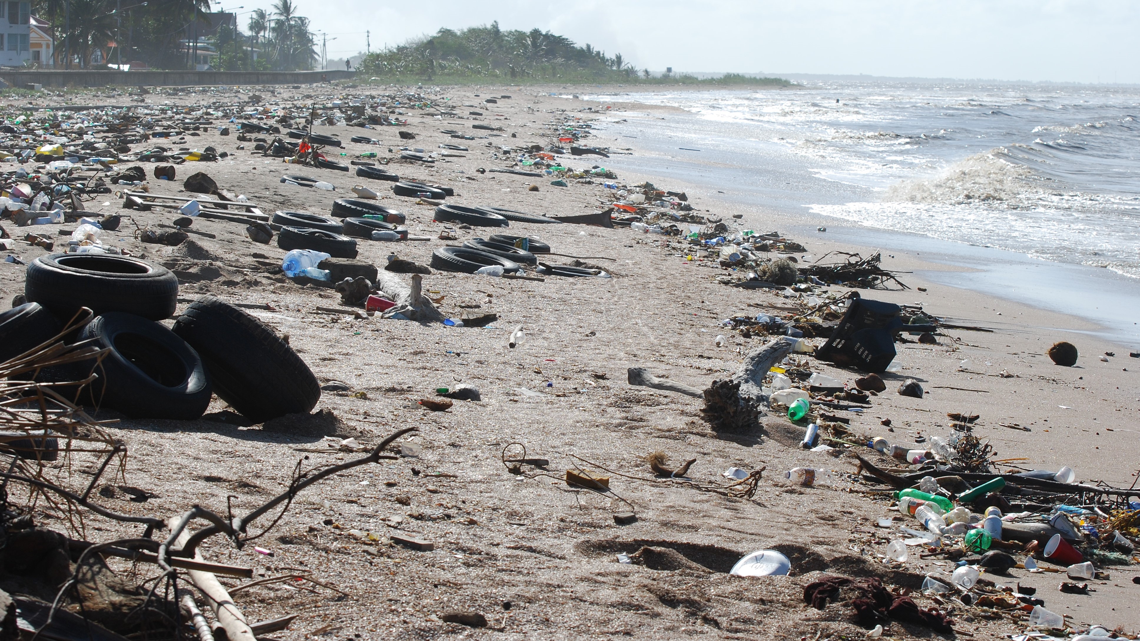 A polluted beach littered with garbage. 