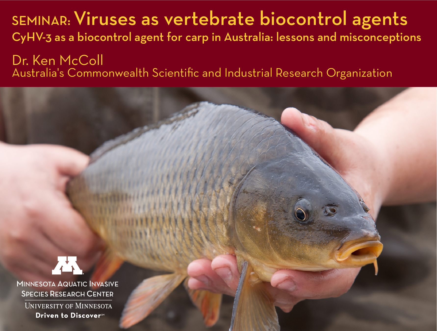 Carp with title of seminar overlayed: Viruses as vertebrate biocontrol agents