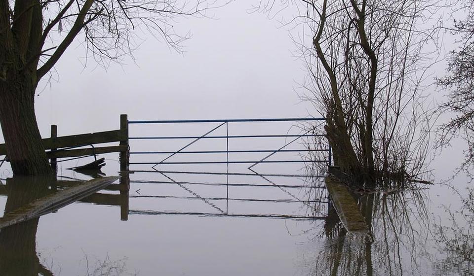 A flooded farm field